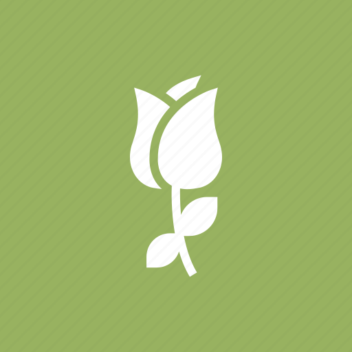 Dsy, floral, flower, nature icon - Download on Iconfinder