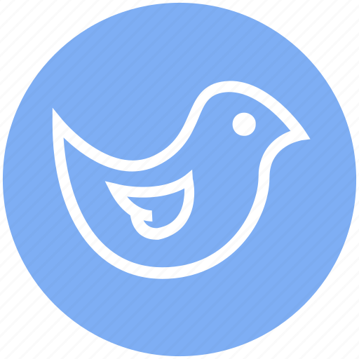 Animal, bird, cute, dove, fly, flying, peace icon - Download on Iconfinder
