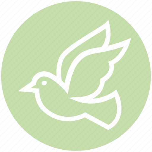 Animal, bird, cute, dove, fly, flying, peace icon - Download on Iconfinder
