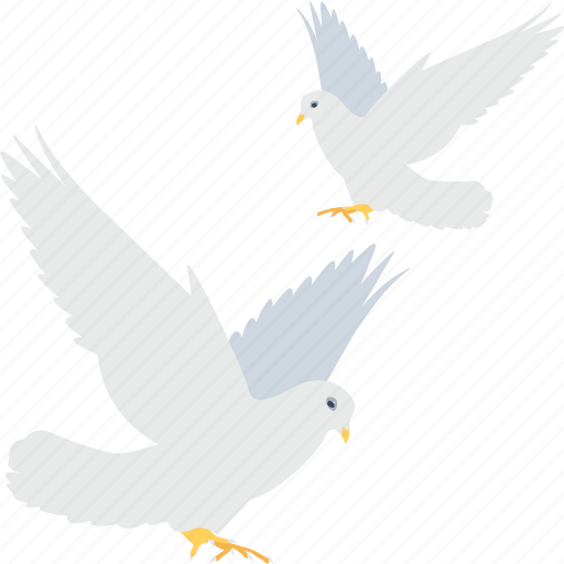 Bird, love message, loving bird, pigeon, romance icon - Download on Iconfinder