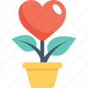 feeling loved, heart, love in air, plant, potted plant