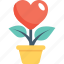feeling loved, heart, love in air, plant, potted plant 