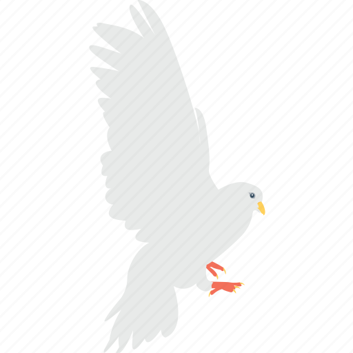 Bird, love message, loving birds, pigeon, romance icon - Download on Iconfinder