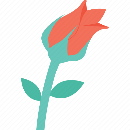 Blossom, flower, red rose, rose, rosebud icon - Download on Iconfinder