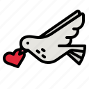 dove, pigeon, bird, peace, animals