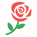flower, gift, red, rose