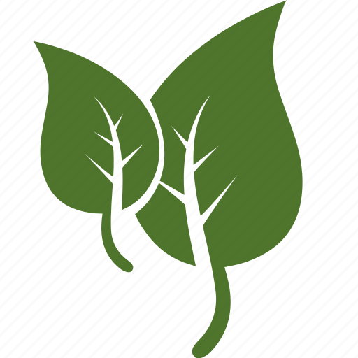 Environnement, garden, green, leaf, leaves, nature, tree icon - Download on Iconfinder