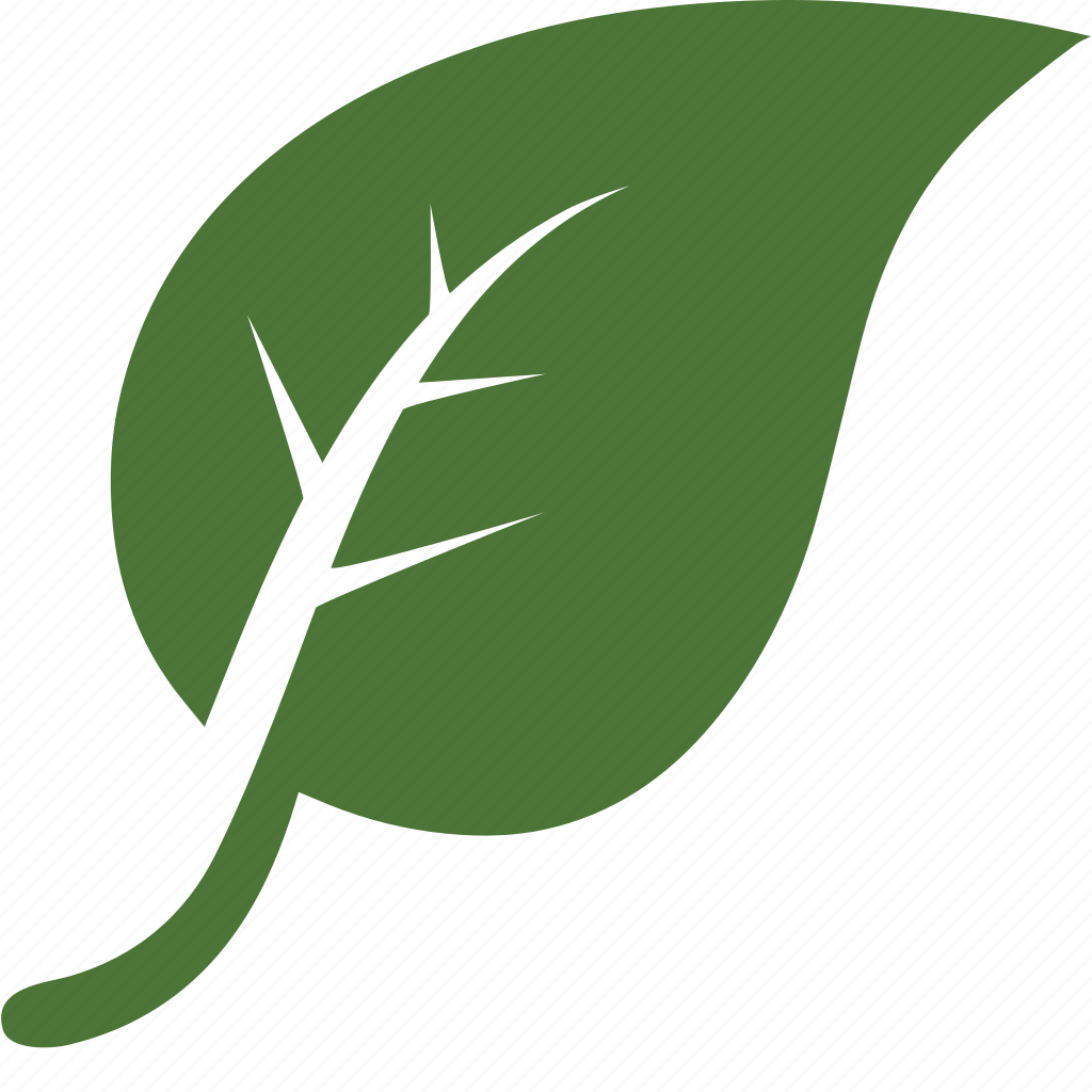 Leaves icon. Листок значок. Листик пиктограмма. Логотип с листочком. Зеленый листок.