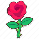 rose, love, valentine, wedding, sticker, cute, leaves, plant