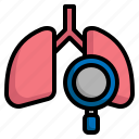 lung, search, scan, health, magnifying, disease
