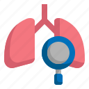 lung, search, scan, health, magnifier, healthcare