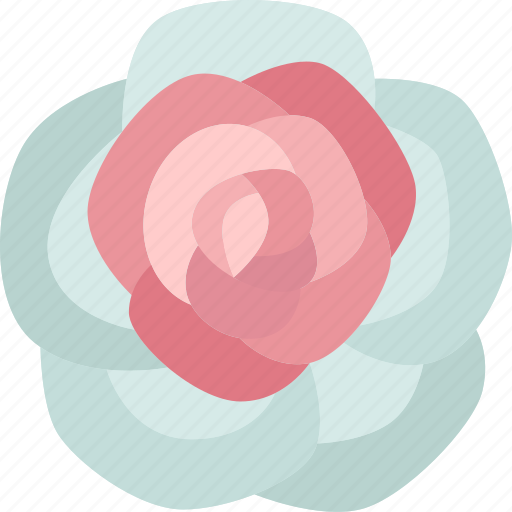 Rose, flora, blossom, garden, nature icon - Download on Iconfinder