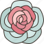 rose, flora, blossom, garden, nature 