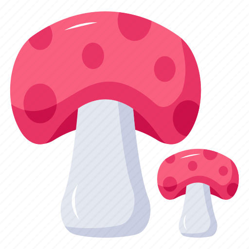 Toadstools, mushrooms, food, fungi, edible fungi icon - Download on Iconfinder