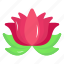 water lilly, lotus, floral, flower, fragrance 