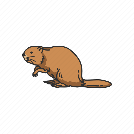 Animals, beaver, mammal, mountain beaver, rodent, semiaquatic rodent icon - Download on Iconfinder