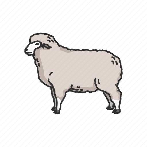 Animals, goat, mammal, muskox, ovis, sheep, sheep-ox icon - Download on Iconfinder