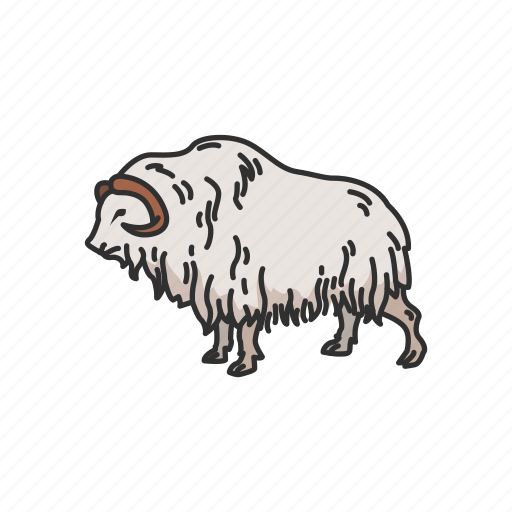 Animals, goat, mammal, muskox, ovis, sheep, sheep-ox icon - Download on Iconfinder