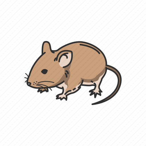 Animals, house mouse, mammal, mouse, pest, pet, rodent icon - Download on Iconfinder