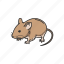 animals, house mouse, mammal, mouse, pest, pet, rodent 