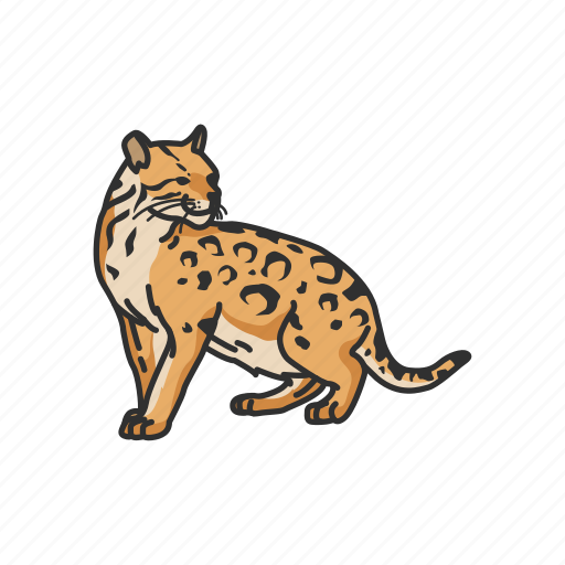 Animals, canine, leopard, mammal, ocelot, pet, wild cat icon - Download on Iconfinder