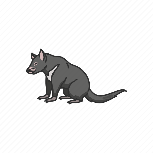 Animals, mammal, omnivore animal, scavenger, tasmanian devil, taz icon - Download on Iconfinder