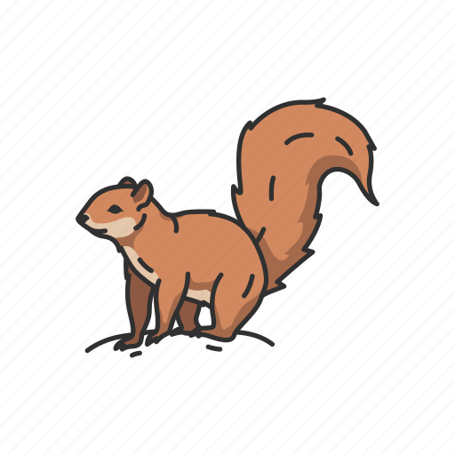 Animals, baby squirrel, chipmunk, mammal, squirrel, tree squirrel icon - Download on Iconfinder