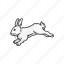 animal, bunny, easter bunny, hare, jack rabbit, mammal, rabbit 