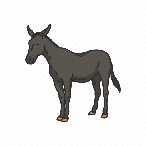 Animals, donkey, horse, mammal, mule, warmbloods icon - Download on Iconfinder
