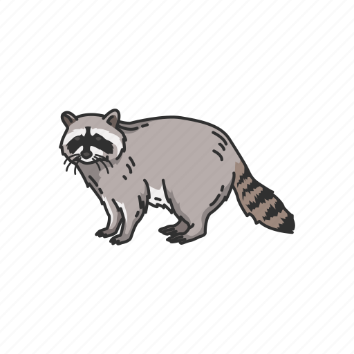 Animals, coon, mammal, pest, raccoon, racoon icon - Download on Iconfinder