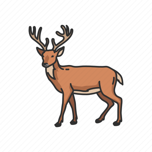 Animal, buck, cheetal, chital, deer, mammals icon - Download on Iconfinder