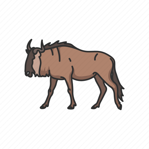Animals, antelopes, brindled gnus, gnus, mammal, wildbeests icon - Download on Iconfinder