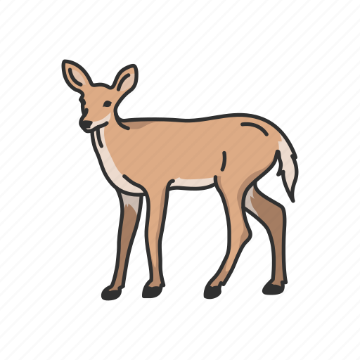 Animals, deer, doe, elk, female deer, mammal, musk deer icon - Download on Iconfinder