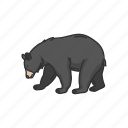 american bear, animal, bear, black bear, mammals, wild bear