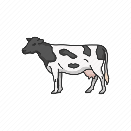 Animals, cattle, cow, dairy animals, domestic animal, mammal icon - Download on Iconfinder