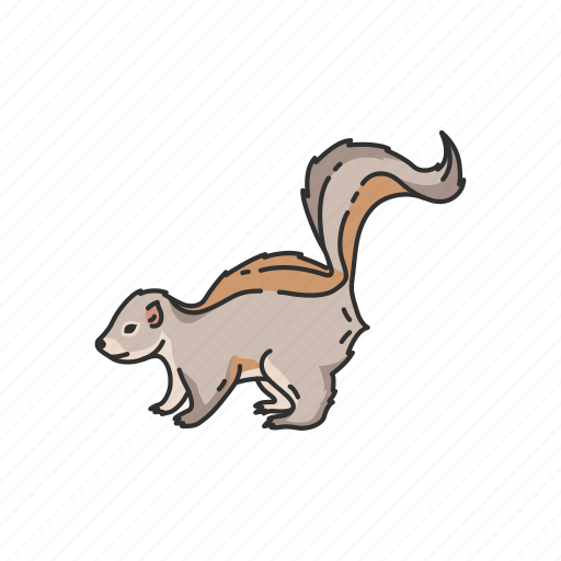 Animals, mammal, mephitis, omnivorous, pet, skunk, stripe skunk icon - Download on Iconfinder