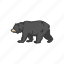 american black bear, animal, bear, black bear, mammals, wild bear 