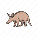 aardvark, african ant bear, animal, anteater, cape anteater, earth pig, mammal