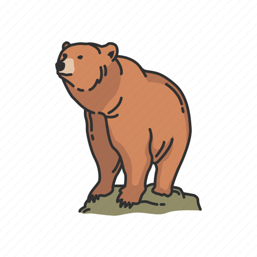 Animals, bear, grizzly, kodiak bear, mammals, wild bear icon - Download on Iconfinder