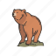 animals, bear, grizzly, kodiak bear, mammals, wild bear 