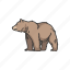 animal, bear, brown bear, grizzly, grizzly bear, mammal, wild bear 