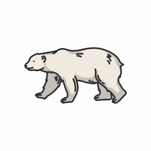 Animals, bear, mammal, maritime mammal, polar bear, white bear, wild bear icon - Download on Iconfinder