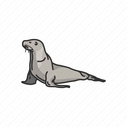 Animal, fin footed, flippers, mammal, pinnipeds, sea lion, seal icon - Download on Iconfinder