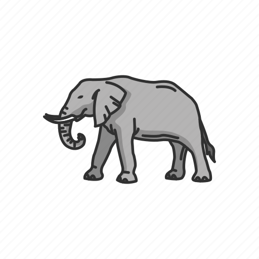 Animal, elephant, elephant tusk, keystone species, large mammals, mammals icon - Download on Iconfinder