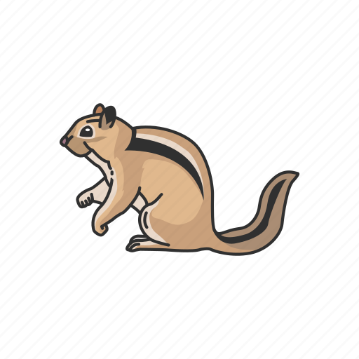 Animals, chpmunk, mammals, rodent, squirrel, striped rodent icon - Download on Iconfinder