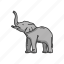 animal, elephant, elephant tusk, keystone species, large mammals, mammals 