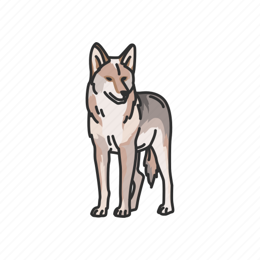 Animals, canine, coyote, female coyote, gray wolf, mammals, wolf icon - Download on Iconfinder
