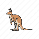 animals, female kangaroo, joey, kangaroo, mammals, wallaby