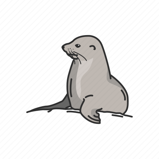 Animal, fin footed, flippers, mammal, pinniped, seal, semiaquatic mammal icon - Download on Iconfinder