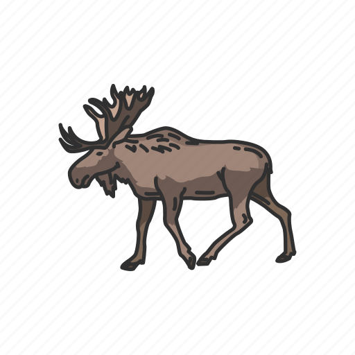 Animals, bull moose, elk, mammal, moose, moose elk, moose head icon - Download on Iconfinder